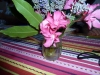 P1100481